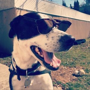 Meet your Posher, Johnna